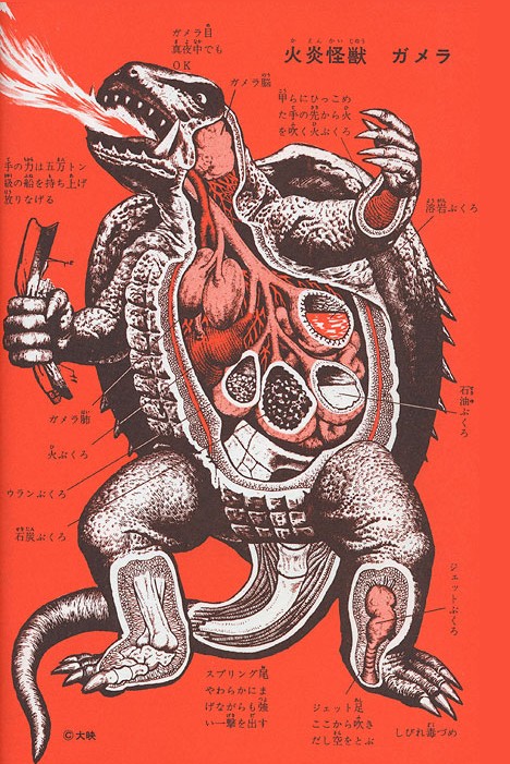 Anatomy of Gamera -- 