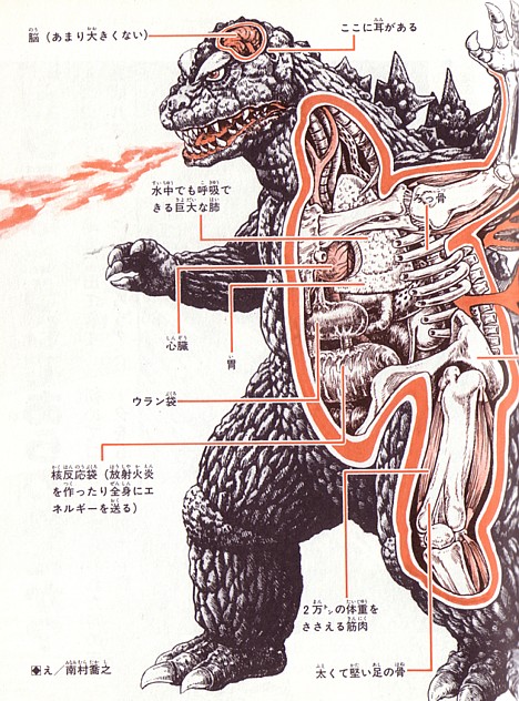 Anatomy of Godzilla -- 