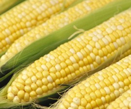 Corn