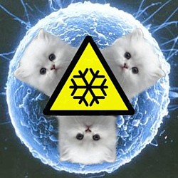 Cryokittens -- 