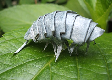 Papercraft insect -- 
