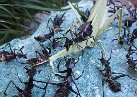 Papercraft insect -- 