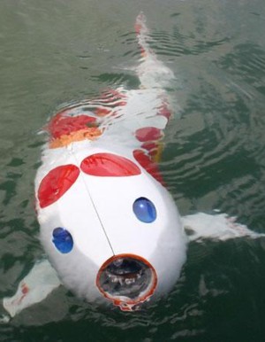  on Koi Carp  The Robot Was Demonstrated At A Pond On The Grounds Of