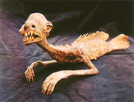 Fiji mermaid gaff -- 