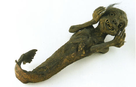 Feejee mermaid gaff -- 