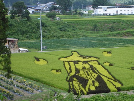 Rice field art -- 