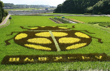 Rice paddy art, Japan --