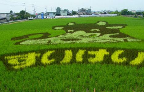 Rice paddy art, Japan --