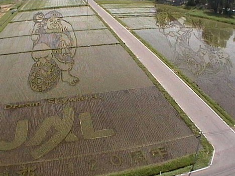 Inakadate rice paddy art, 2008 -- 
