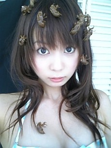 Shokotan wearing empty locust shells -- 