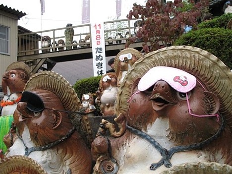 Tanuki holiday -- 