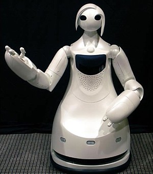 TPR-Robina, Toyota tour guide robot --- 